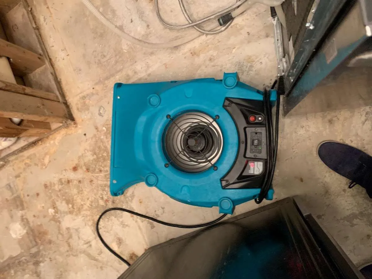 Air mover drying equipment for Mold Remediation & Removal in Jasper